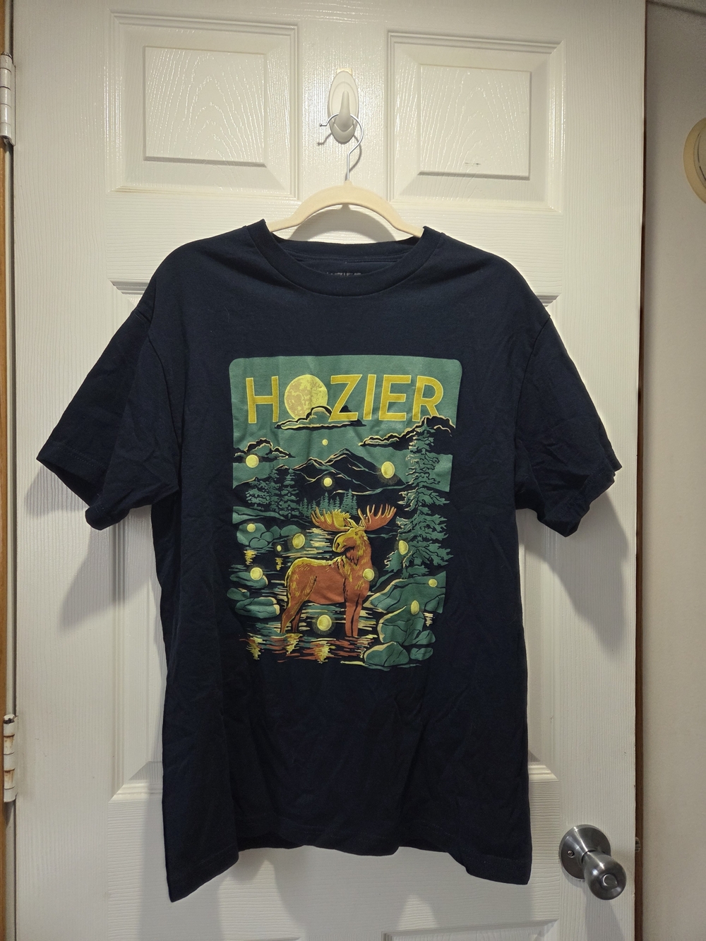 Offical Hoizer 2025 Tour Merch